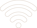Icon_wifi_light brown